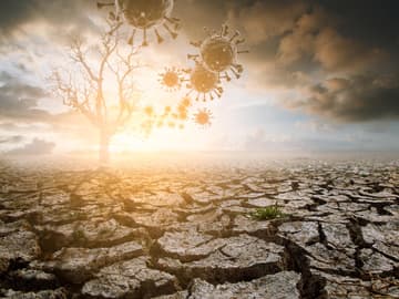 Klimawandel Zoonosen Klimawandel Zoonosen