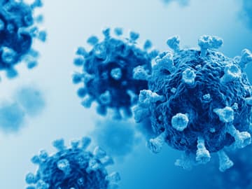 Coronavirus Coronavirus