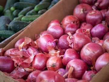 rote Zwiebeln rote Zwiebeln