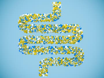 Grafische Darstellung von Darmbakterien Grafische Darstellung von Darmbakterien