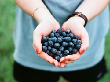 Heidelbeeren Heidelbeeren