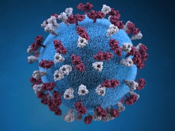 Coronavirus Coronavirus
