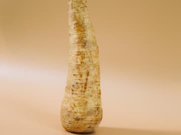 gelb-braune Pastinake Pastinake vor braunem Hintergund