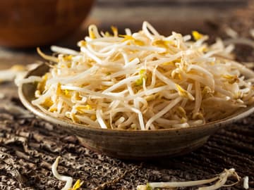 Mungbohnensprossen für asiatische Gerichte frische Mungbohnensprossen in Schale