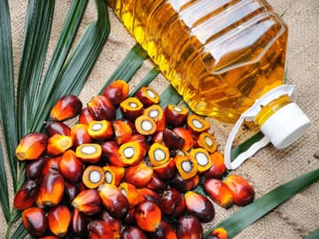 Palmöl Palmöl