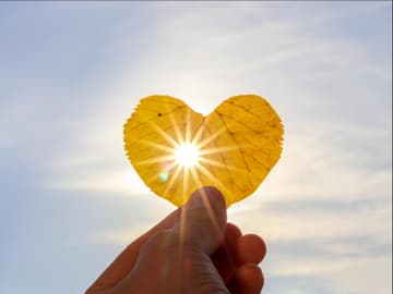 Sonnenlicht, das durch ein Blatt scheint Sonnenlicht, das durch ein Blatt scheint