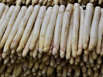 Weißer Spargel liefert wichtige Nährstoffe viele weiße Spragel übereinander gestapelt