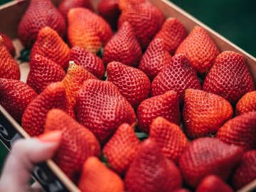 Erdbeeren in Kiste Erdbeeren in Kiste