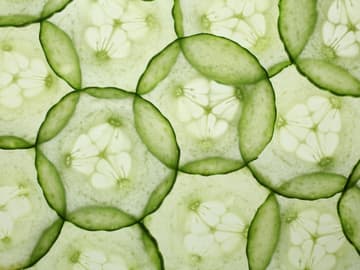 Gurkenscheiben bestehen zu 97 Prozent aus Wasser Gurkenscheiben