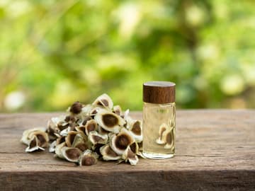 Moringa-Samen und Öl Moringa-Samen und Öl