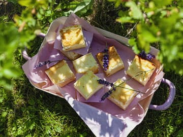 Lemon Cheesecake Bites Lemon Cheesecake Bites