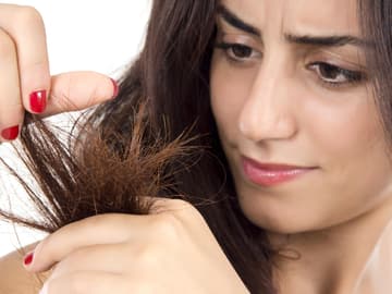 Trockene Haare Trockene Haare