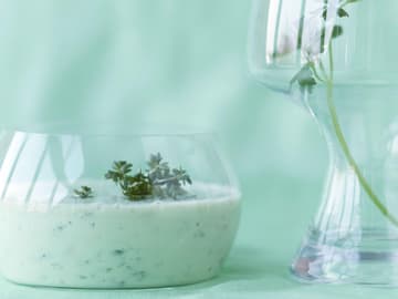 Avocado-Kefir-Shake Avocado-Kefir-Shake