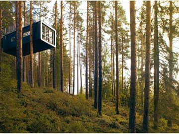 Cabin Cabin