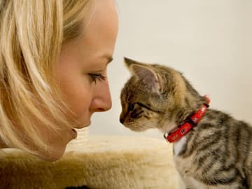 Frau mit Katze Frau mit Katze