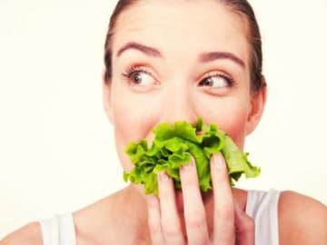 Vegetarisches Special Vegetarisches Special
