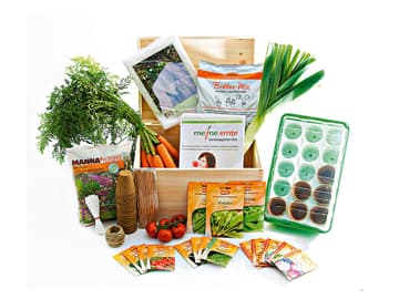 Gemüsegarten-Box Gemüsegarten-Box