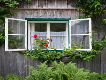 heimat-fenster-garten.jpg
