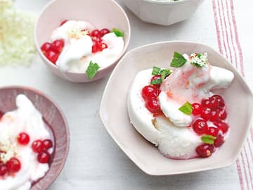 Holunderblüten-Sorbet mit Johannisbeer-Honig-Kompott Holunderblüten-Sorbet mit Johannisbeer-Honig-Kompott