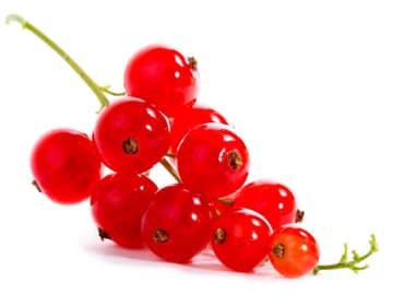 Johannisbeeren Johannisbeeren