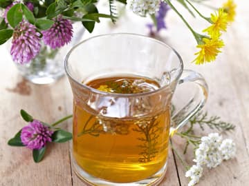 Kräutertee Kräutertee