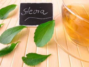 Stevia Stevia