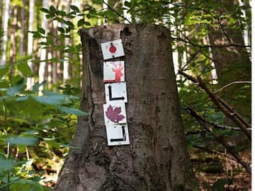 Wandern als Therapie Wandern als Therapie