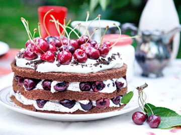 Mohn Kirsch Torte Mohn Kirsch Torte