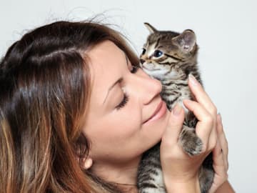Katzen-Quiz: Sind Sie ein echter Katzen-Kenner? Katzen-Quiz: Sind Sie ein echter Katzen-Kenner?