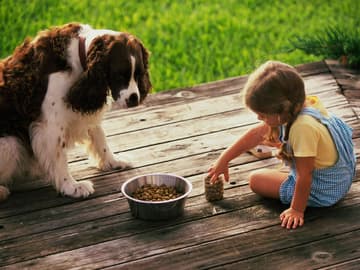 Mädchen sitzt auf dem Boden und füttert einen Hund Mädchen füttert Hund