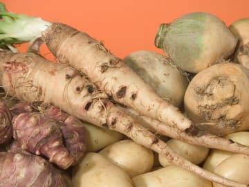 Schwarzwurzel enthält viel Vitamin E Schwarzwurzel