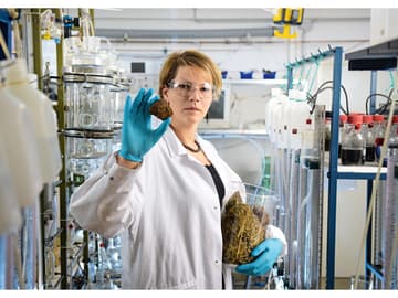 Strom aus Pferdeäpfeln Ingenieurin Saskia Oldenburg