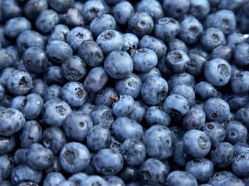 Blaubeeren Beeren