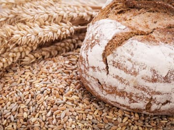 In Brot steckt viel Vitamin B1 und Kohlenhydrate werden in Energie umgewandelt In Brot steckt Vitamin B1