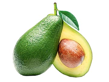 Avocado Avocado