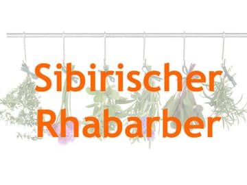 mittel-wechseljahre mittel-wechseljahre