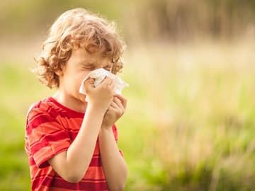 niesender Junge Allergien bei Kindern