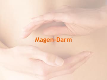 Magendarm, Magen-Darm, Magen, Darm magen-darm