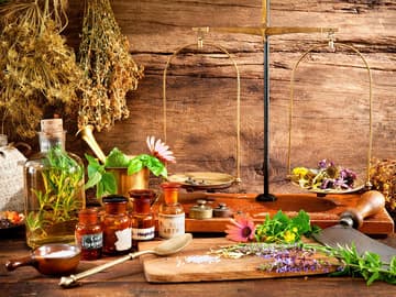 Heilpflanze: Die 10 besten Kräuter Heilpflanze: Die 10 besten Kräuter