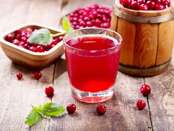 Heilpflanze: Cranberry (Vaccinium Macrocarpon) Heilpflanze: Cranberry (Vaccinium Macrocarpon)