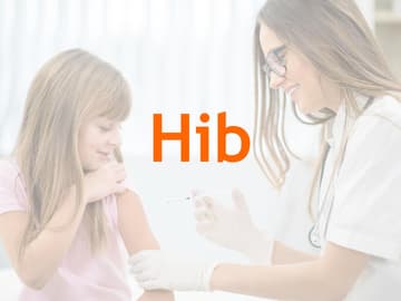 Impftermine Hib Impftermine Hib