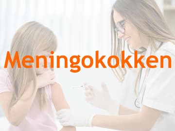 Impftermine Meningokokken Impftermine Meningokokken