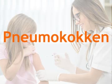 impftermine pneumokokken impftermine pneumokokken
