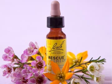 Bachblüten Bachblüten