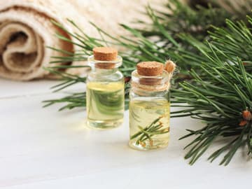Hustensaft aus Tannenspitzen Hustensaft aus Tannenspitzen