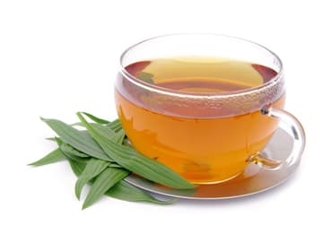 Hustensaft aus Spitzwegerich Hustensaft aus Spitzwegerich