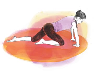 Kinderleichte Fitnessübungen auf allen vieren Kinderleichte Fitnessübungen auf allen vieren
