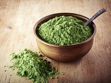 Chlorella Algen Chlorella Algen