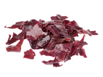 Dulse Algen Dulse Algen