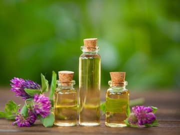 Öl-mit-Rotklee Öl-Serum für die Kopfhaut mit Rotklee